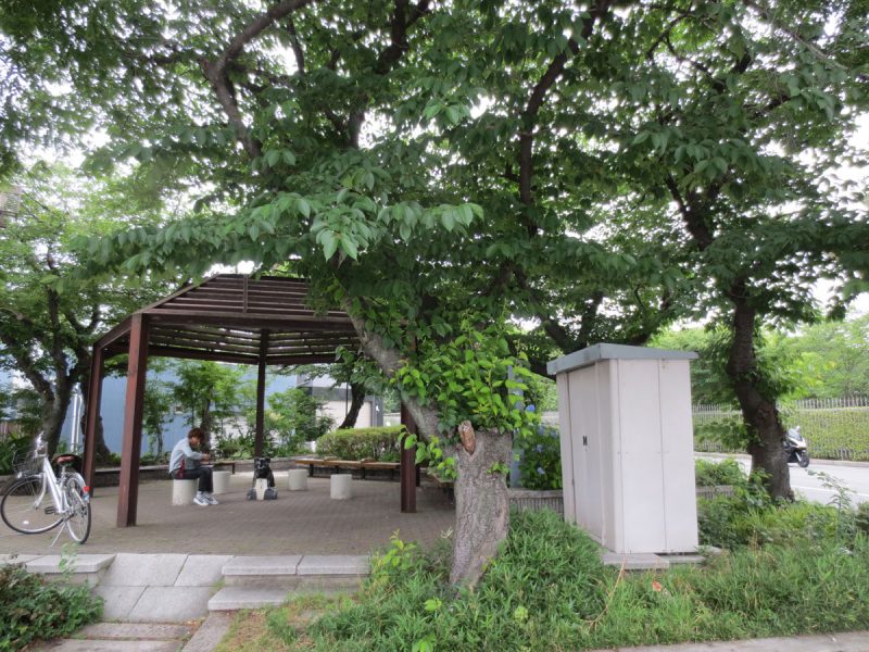 戸崎公園